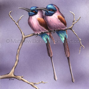 Carmine Bee-eaters (Transparent Watercolor on W&N 140lb NCP Paper 10 x 14 in) NFS