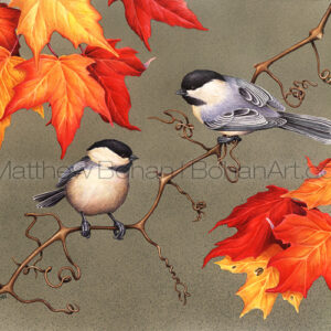 Black-capped Chickadees (Transparent Watercolor on W&N 140lb NCP Paper 10 x 14 in) Private Collection