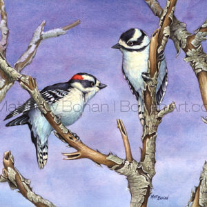 Downy Woodpeckers (Transparent Watercolor on W&N 140lb NCP Paper 10 x 14 in)