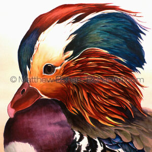 Mandarin Duck (Transparent Watercolor on Arches 140lb HP Paper 18 x 24 in) NFS