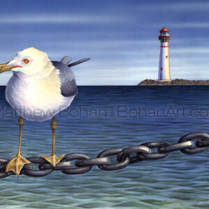 Ring-billed Gull (Transparent Watercolor on 140lb HP Paper about 12 x 23 in) Original Available