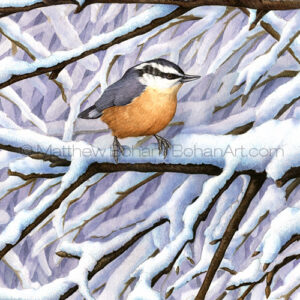 Red-breasted Nuthatch (Transparent Watercolor on W&N 140lb NCP Paper about 10 x 14 in)