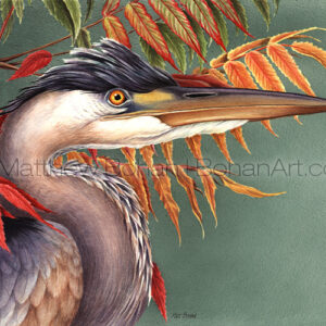 Great Blue Heron and Sumac (Transparent Watercolor on W&N 140lb NCP Paper 10 x 14 in) Original Available