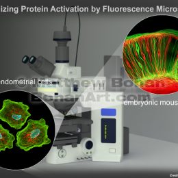 Fluorescence Microscopy (Lightwave 3d and PhotoShop)