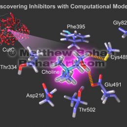 Protein Models (Lightwave 3d and Flash)