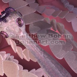 Tanea Solium Tapeworm (Lightwave 3d) image available for license