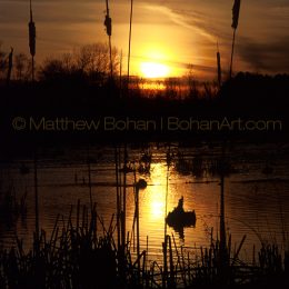 Rose Lake Cattail Sunset, MI