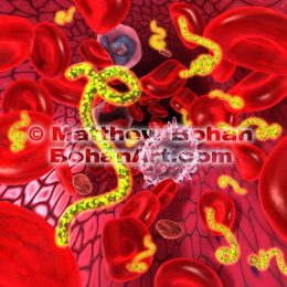 Ebola Virus in Bloodstream (Lightwave 3d - Images available for licensing)