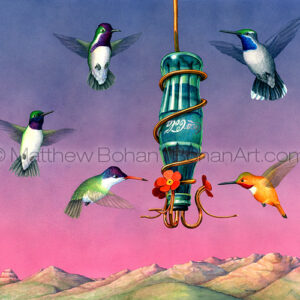 Arizona Hummingbirds (Transparent Watercolor on Arches 140lb HP Paper crop from 18 x 24 in) Private Collection