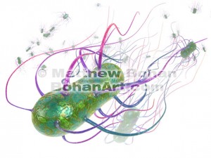 Salmonella Bacteria (Lightwave 3d) images and animation available for license
