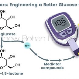 Biosensor/Glucosemeter (Lightwave 3d and Photoshop)