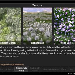 Plant Biodiversity of Tundra Interactive Module (Lightwave 3d, Eon Vue, Photoshop, Flash)