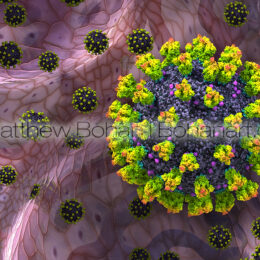 COVID19 VIrus in Lung (Lightwave3d Photoshop)