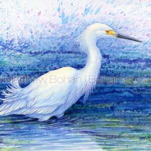 Splashy Snowy Egret (7x10 inch Transparent Watercolor on Arches 140lb HP Paper) Private Collection.