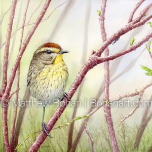 Palm Warbler and Ant (9×12-inch Transparent Watercolor on Kilimanjaro 140lb CP Paper) Original Available. More info: https://blog.bohanart.com/2025/03/pawa_ant/